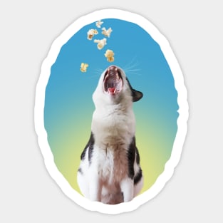 My Fav Food Is Popcorn Sticker